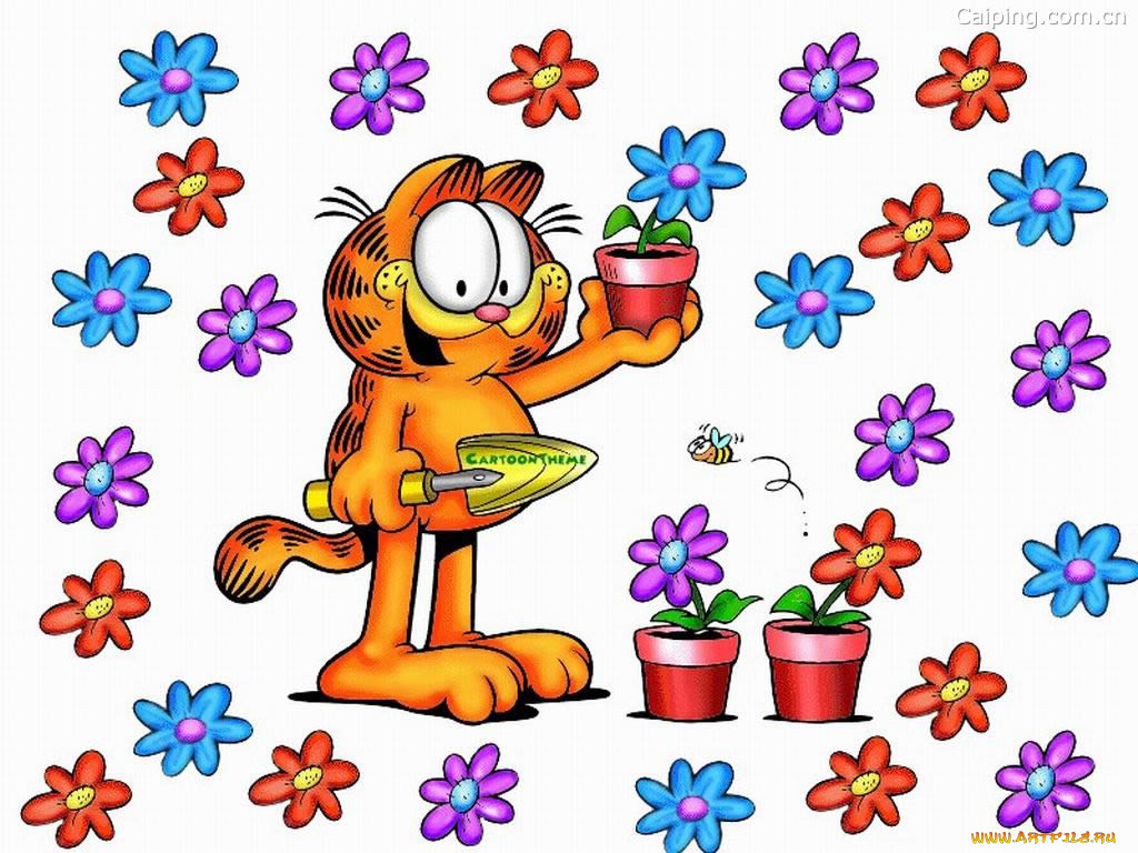 , garfield